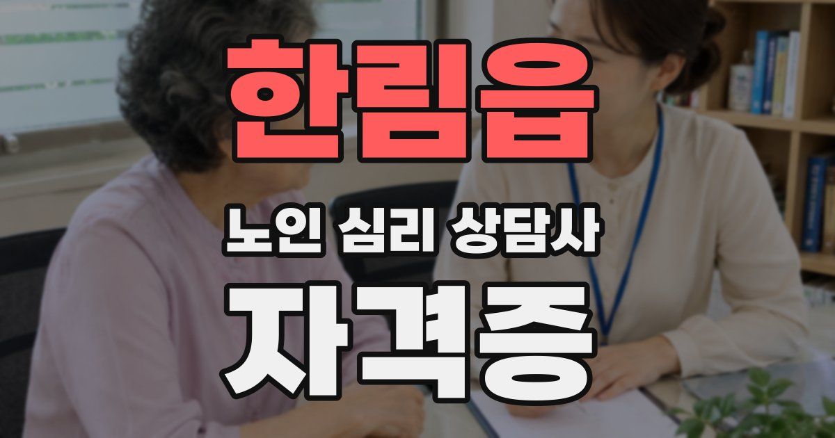 한림읍 노인 심리 상담사 자격증