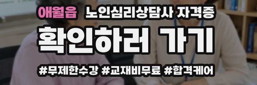 애월읍 노인 심리 상담사 자격증