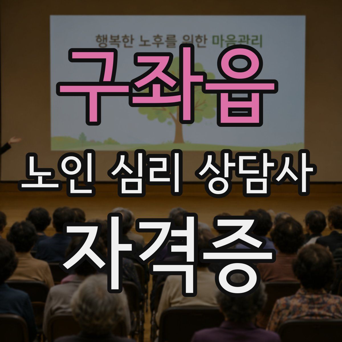 구좌읍 노인 심리 상담사 자격증