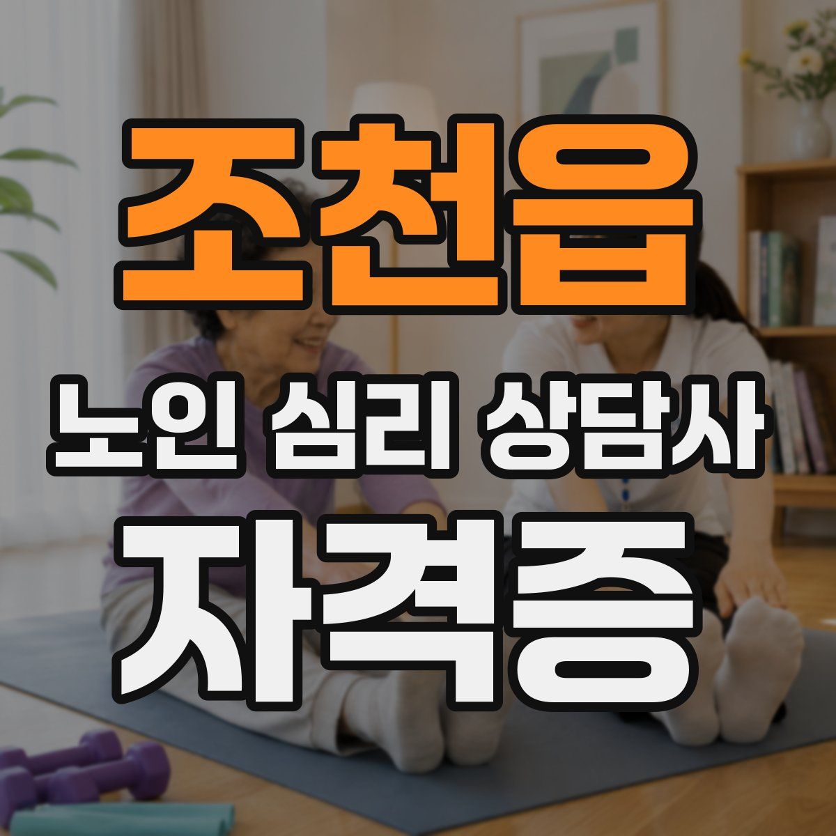 조천읍 노인 심리 상담사 자격증
