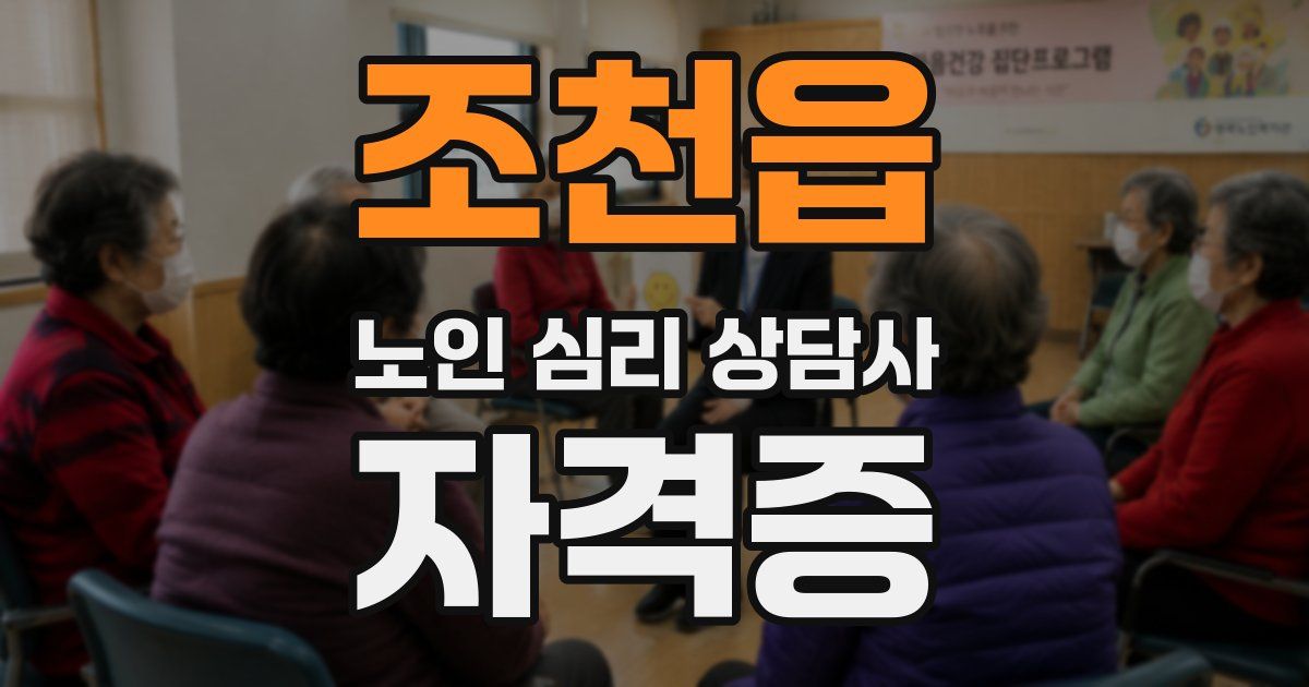 조천읍 노인 심리 상담사 자격증
