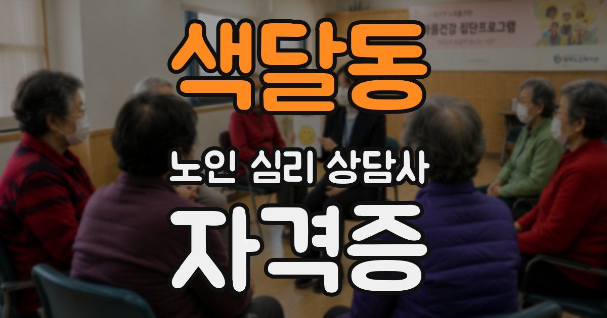 색달동 노인 심리 상담사 자격증