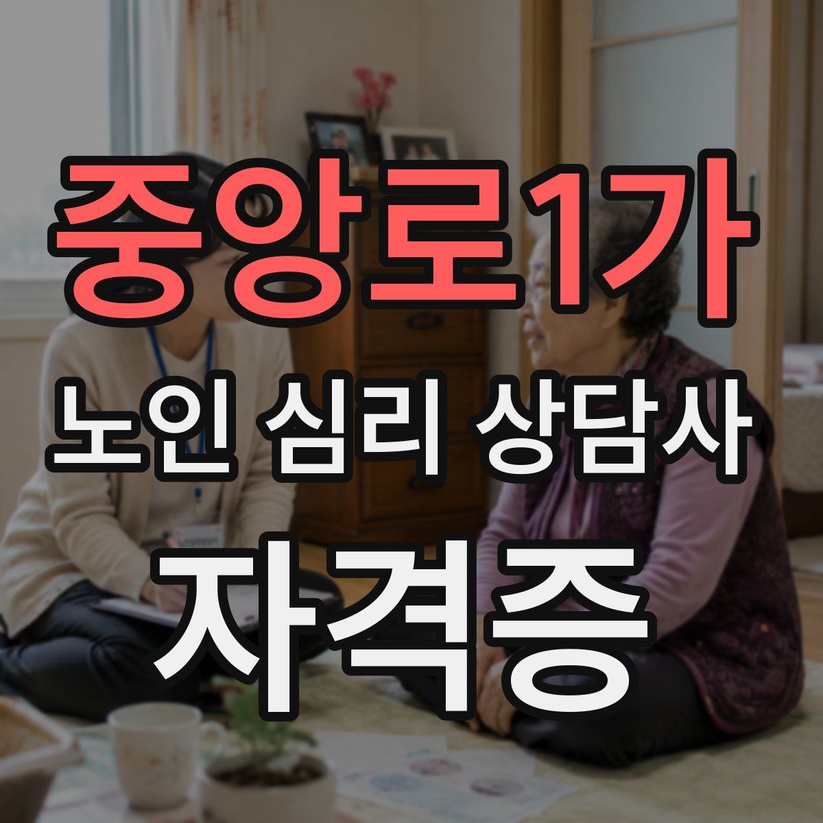 중앙로1가 노인 심리 상담사 자격증