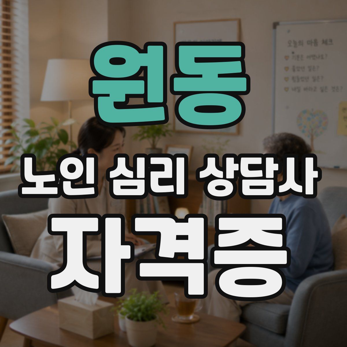 원동 노인 심리 상담사 자격증