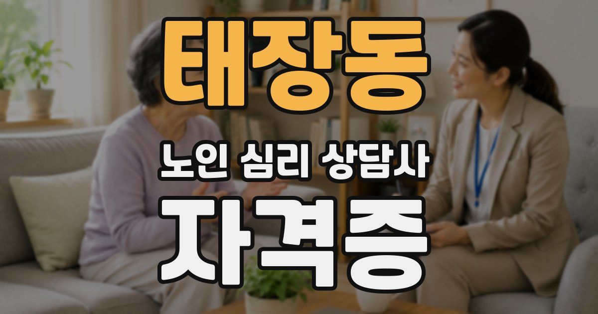 태장동 노인 심리 상담사 자격증