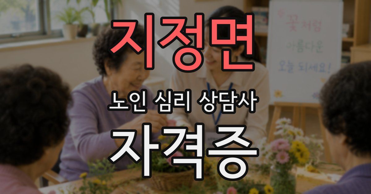 지정면 노인 심리 상담사 자격증
