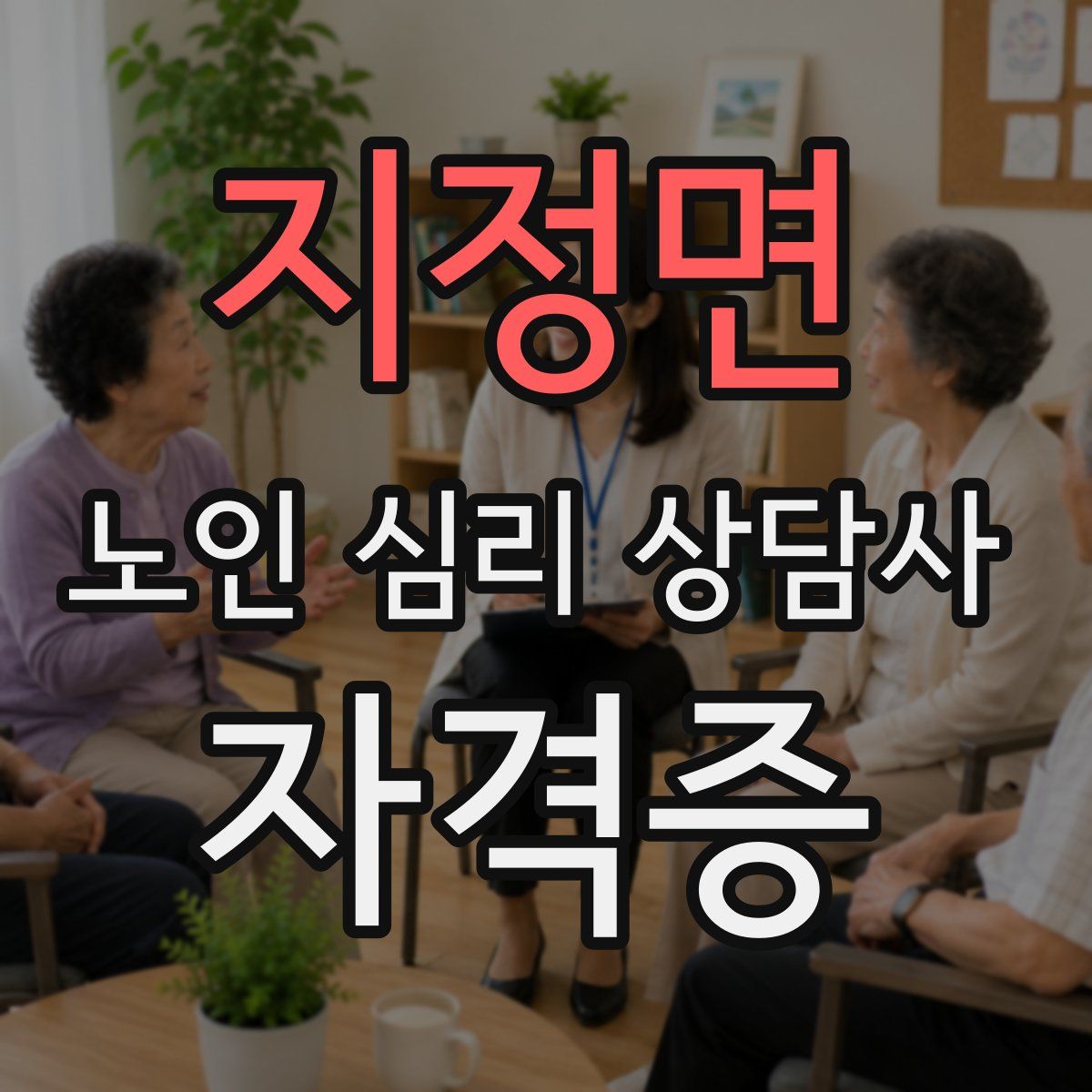 지정면 노인 심리 상담사 자격증