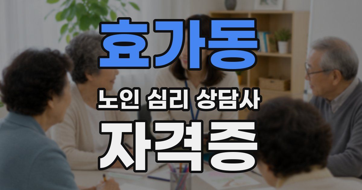 효가동 노인 심리 상담사 자격증