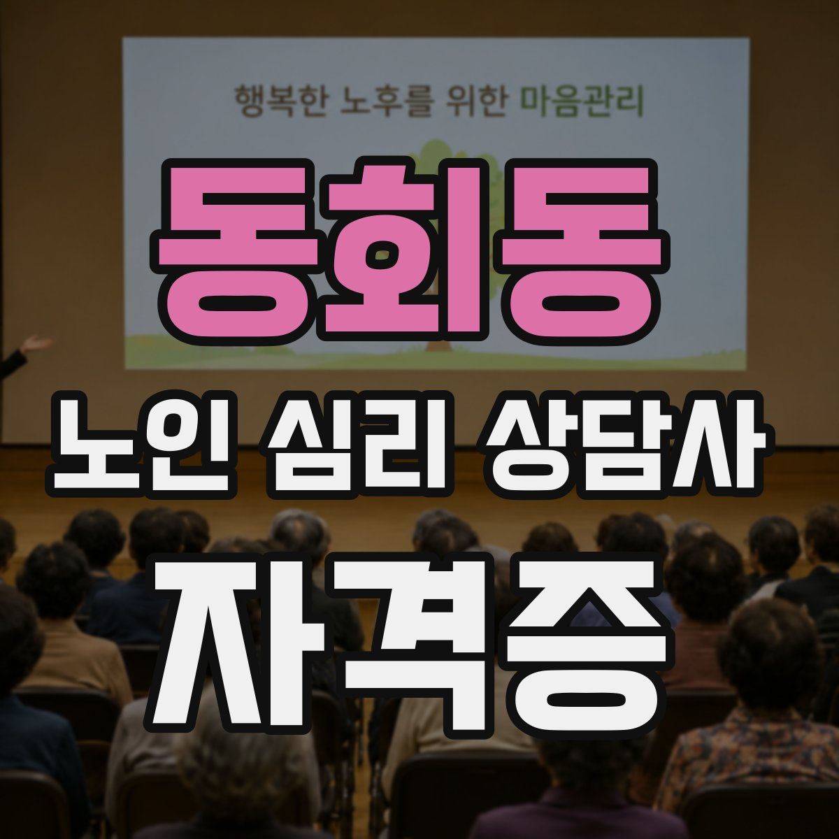 동회동 노인 심리 상담사 자격증