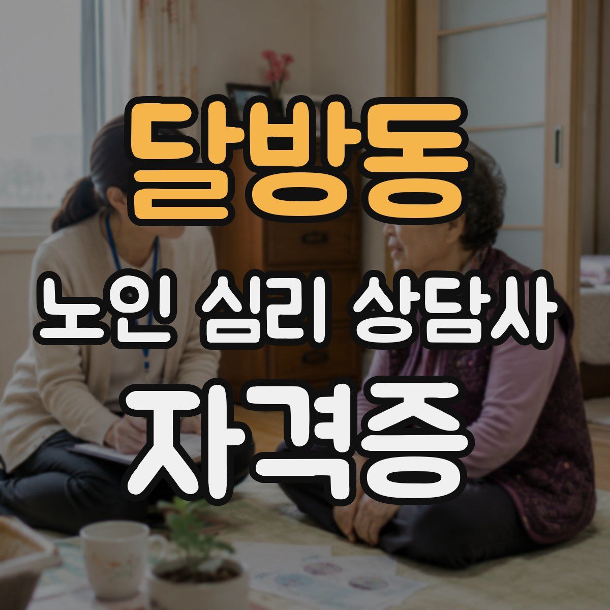 달방동 노인 심리 상담사 자격증