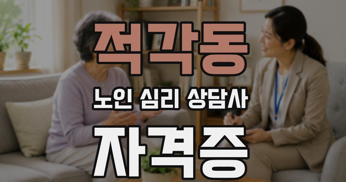 적각동 노인 심리 상담사 자격증