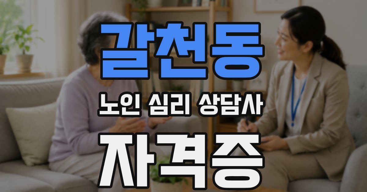 갈천동 노인 심리 상담사 자격증