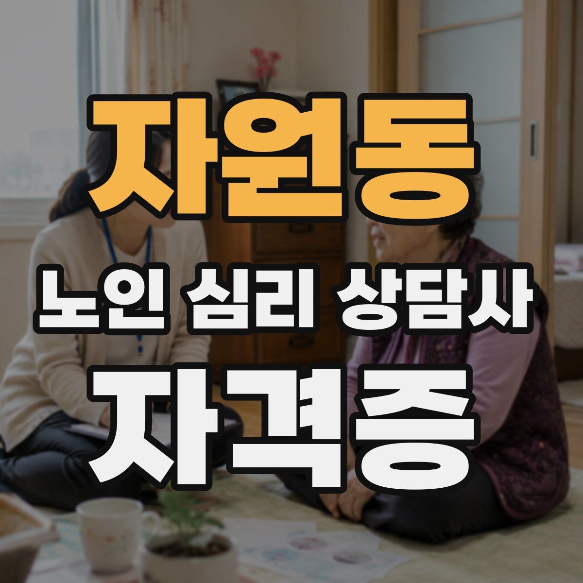 자원동 노인 심리 상담사 자격증