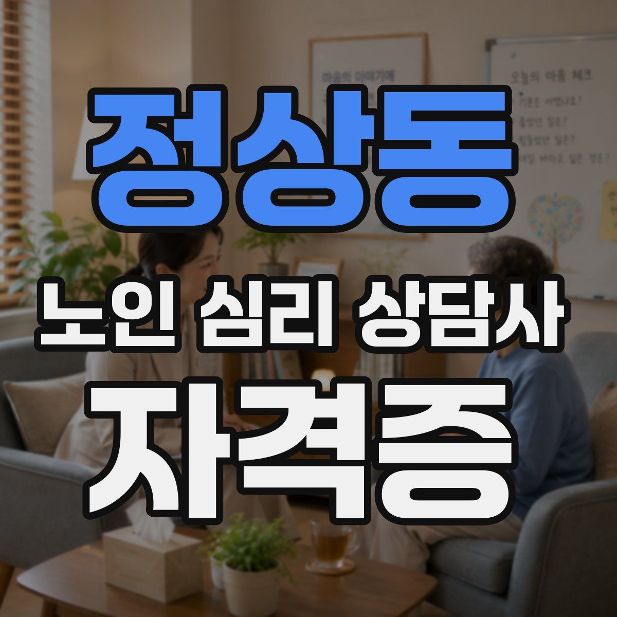 정상동 노인 심리 상담사 자격증