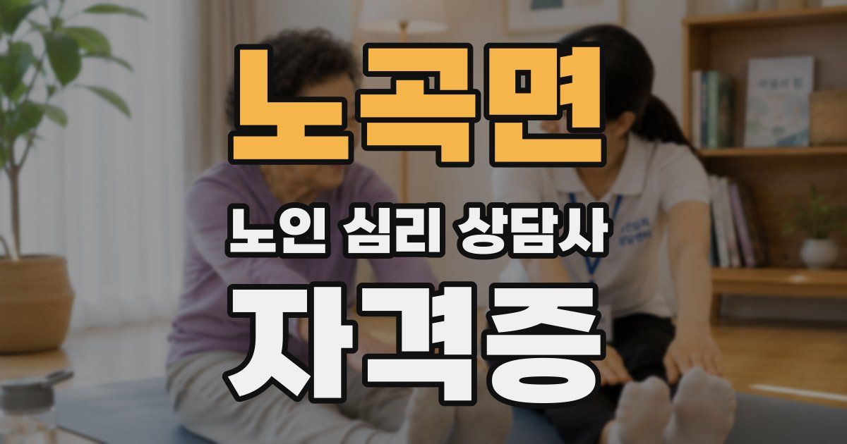 노곡면 노인 심리 상담사 자격증