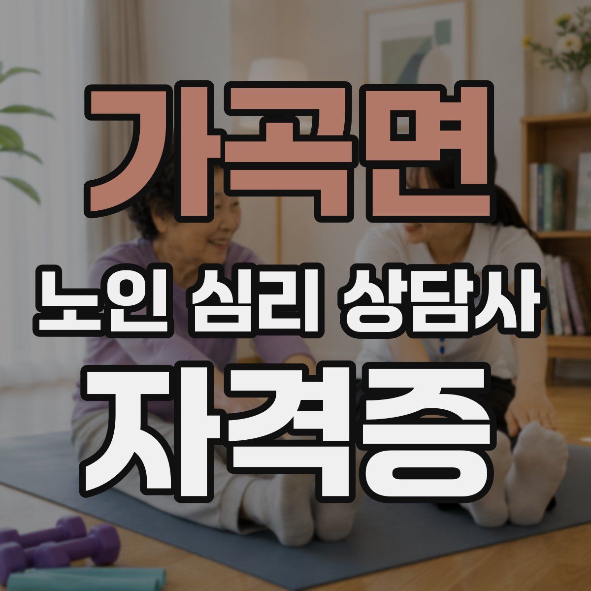 가곡면 노인 심리 상담사 자격증