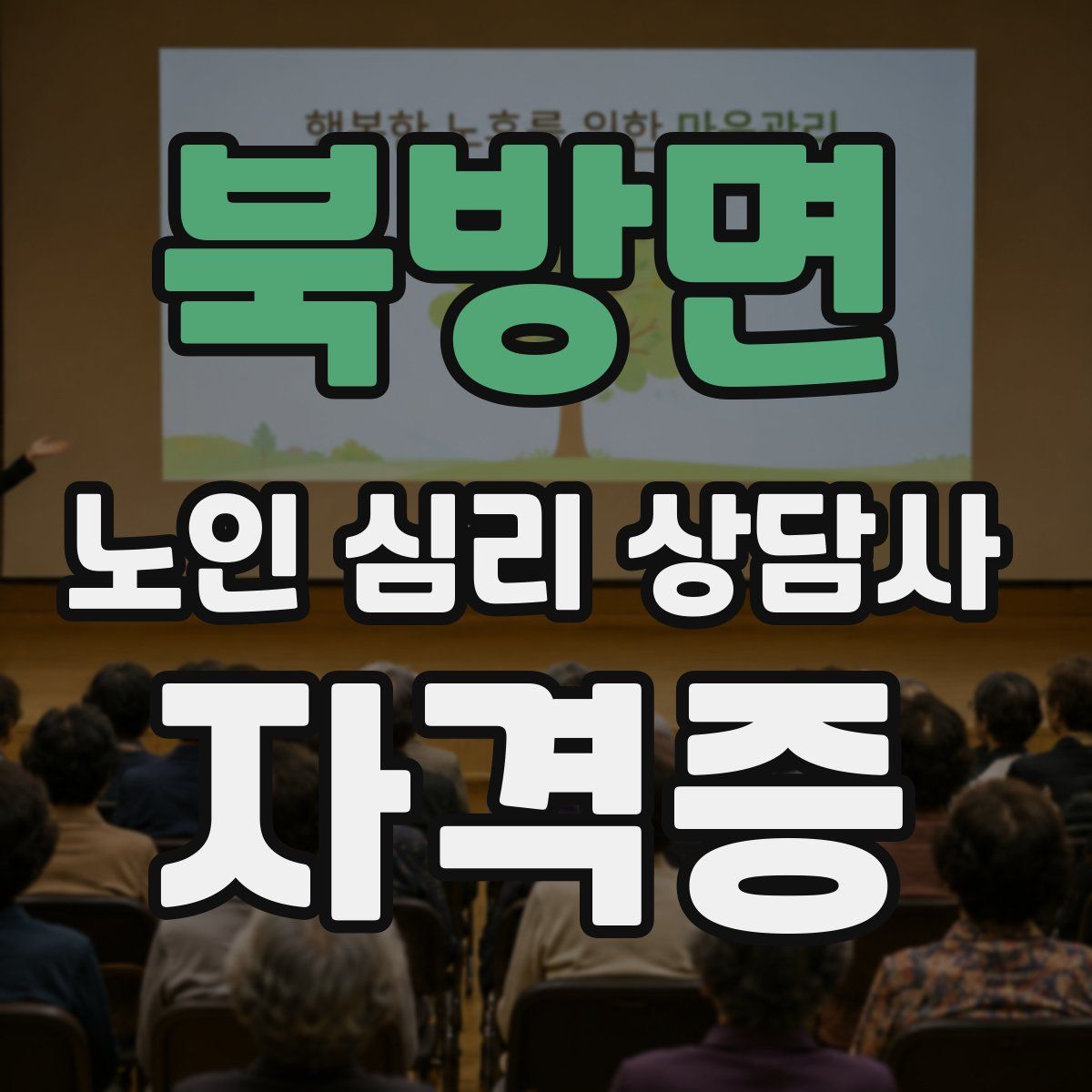 북방면 노인 심리 상담사 자격증