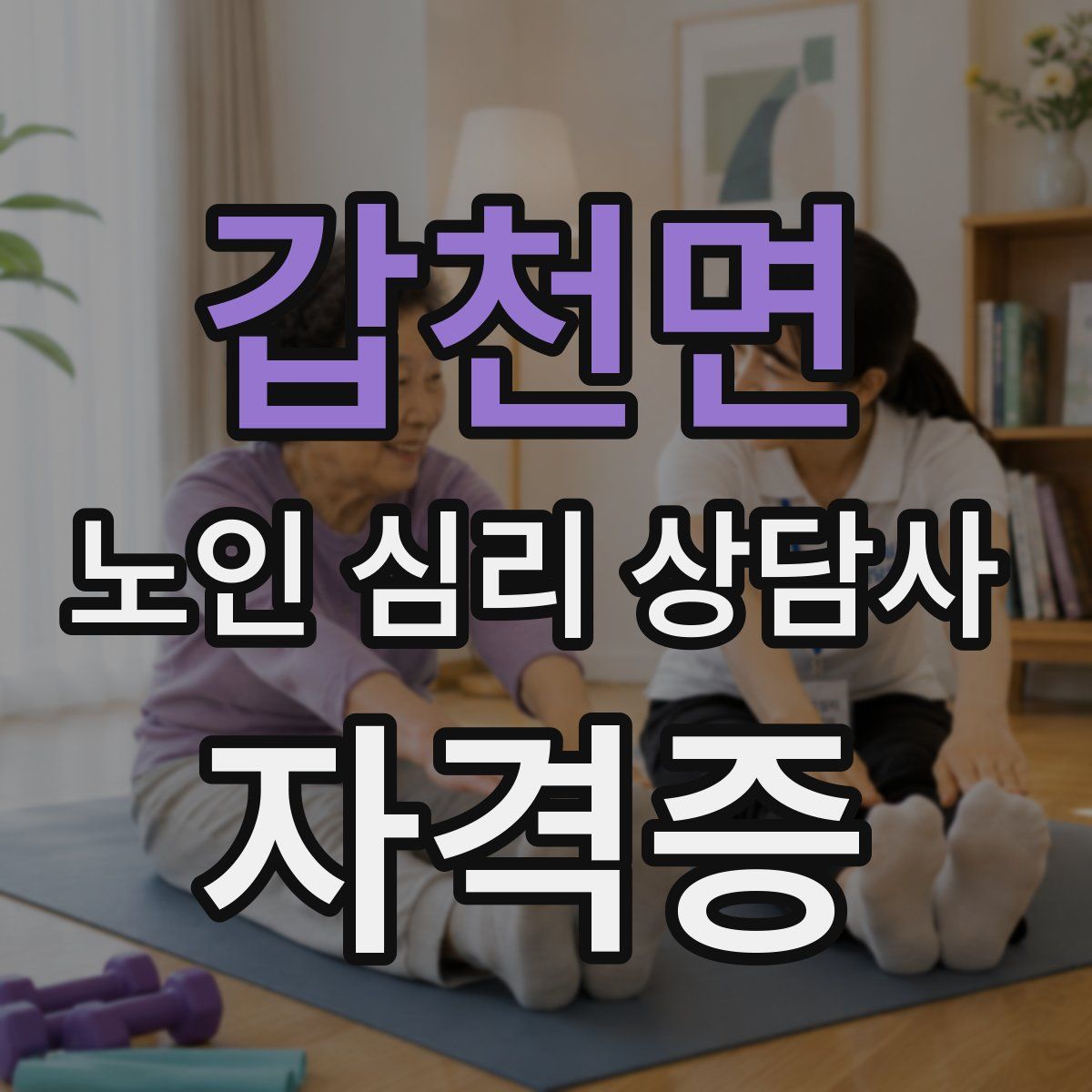 갑천면 노인 심리 상담사 자격증