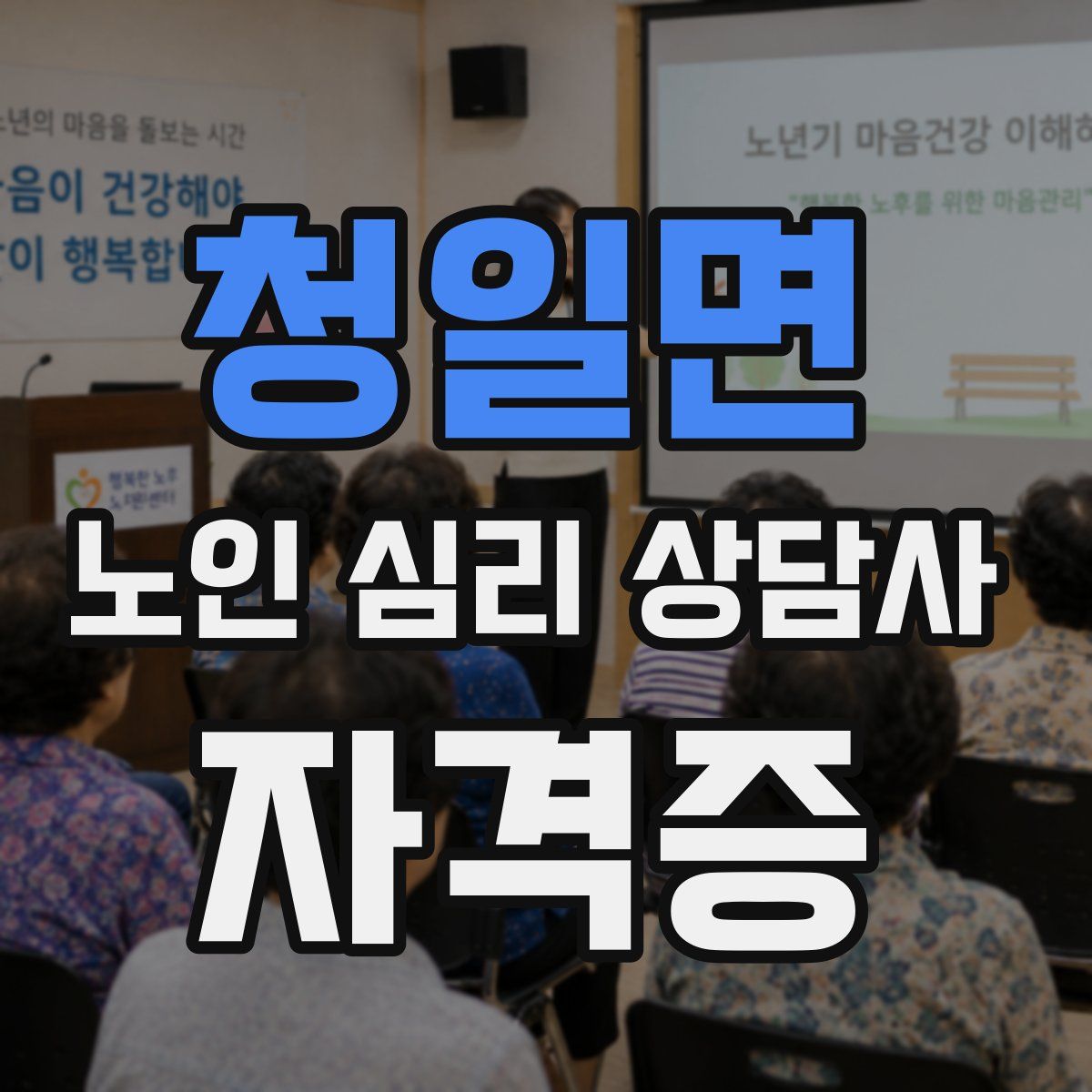 청일면 노인 심리 상담사 자격증