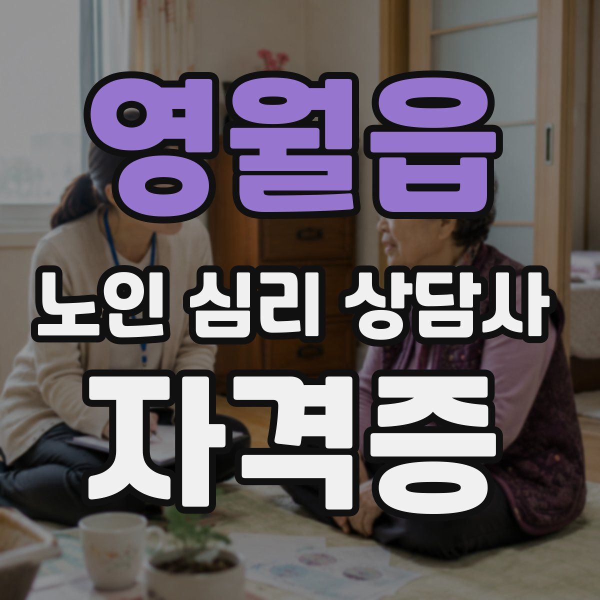 영월읍 노인 심리 상담사 자격증