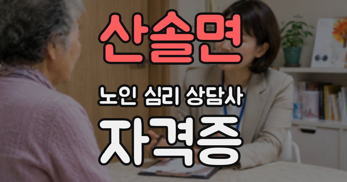 산솔면 노인 심리 상담사 자격증