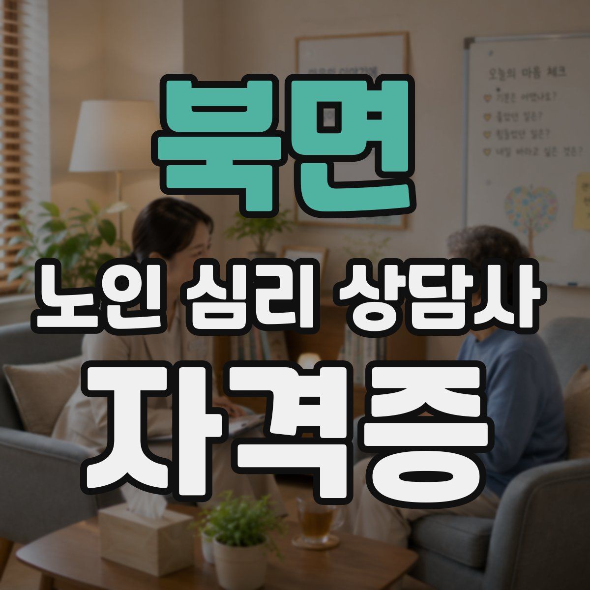 북면 노인 심리 상담사 자격증