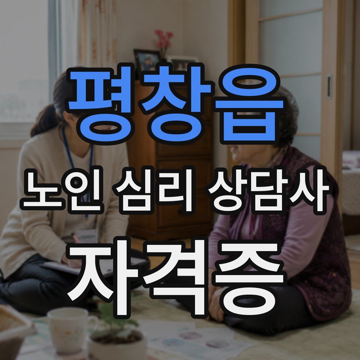 평창읍 노인 심리 상담사 자격증