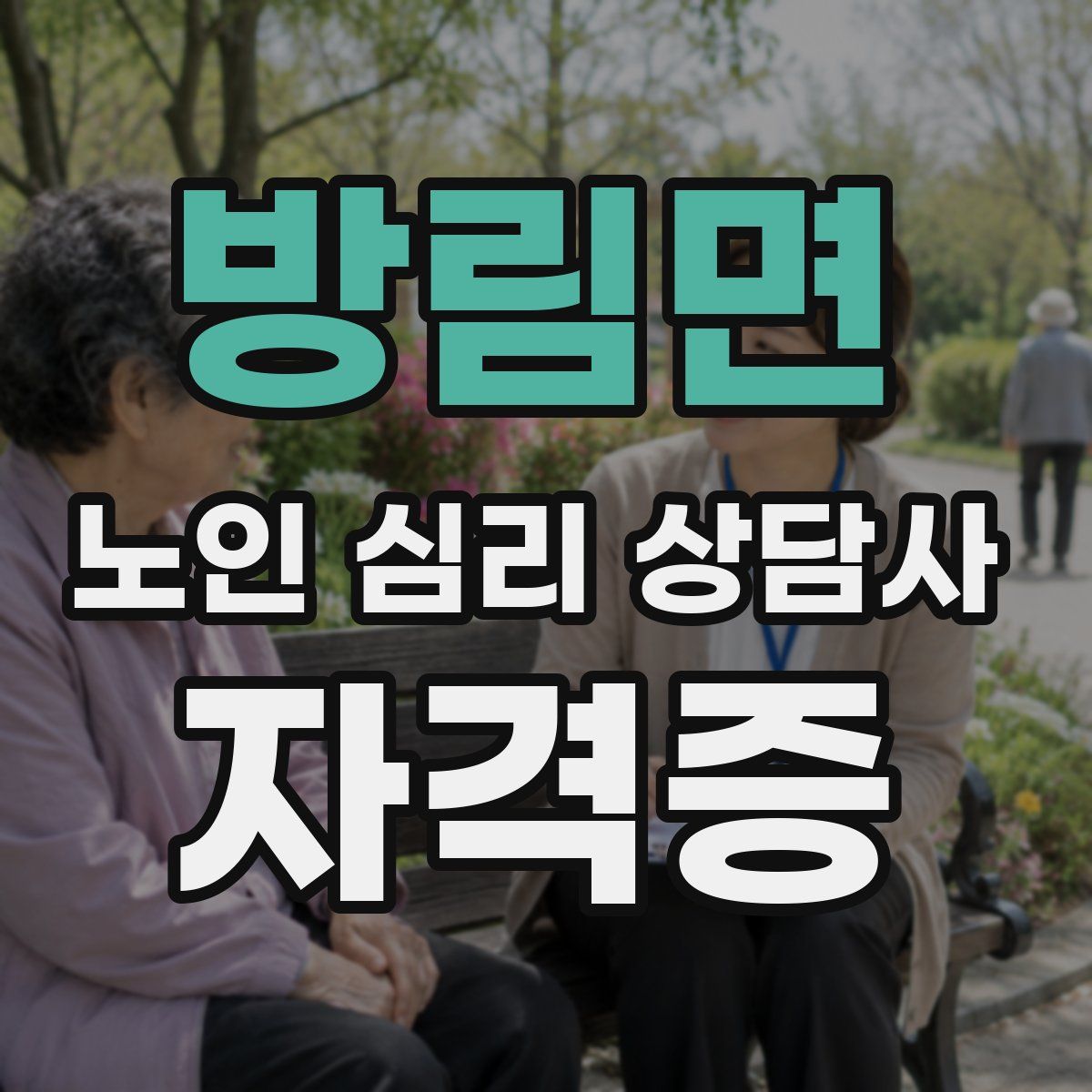 방림면 노인 심리 상담사 자격증