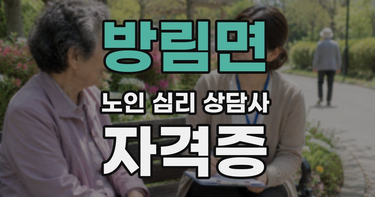 방림면 노인 심리 상담사 자격증