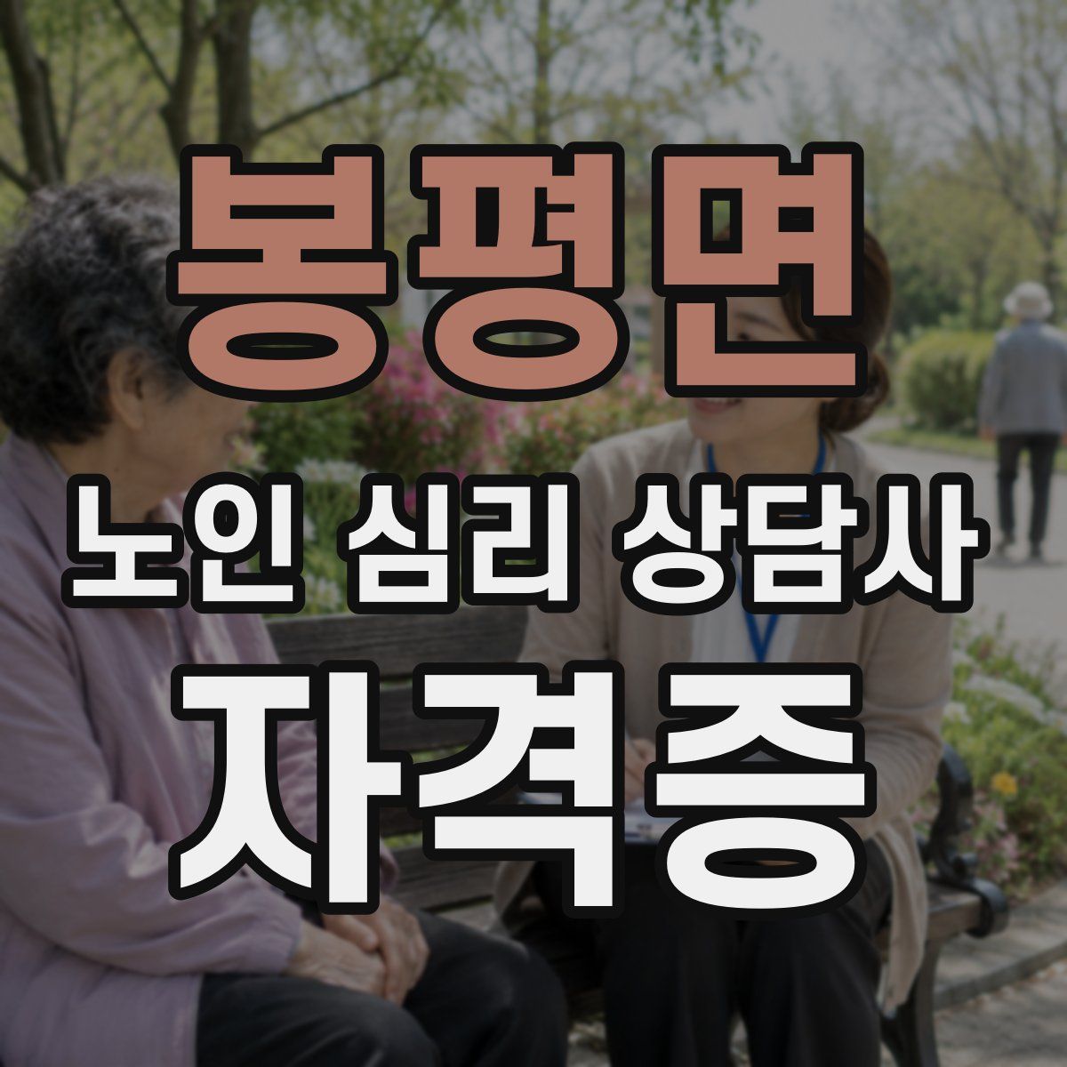 봉평면 노인 심리 상담사 자격증