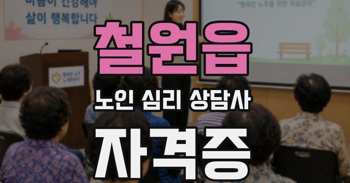 철원읍 노인 심리 상담사 자격증