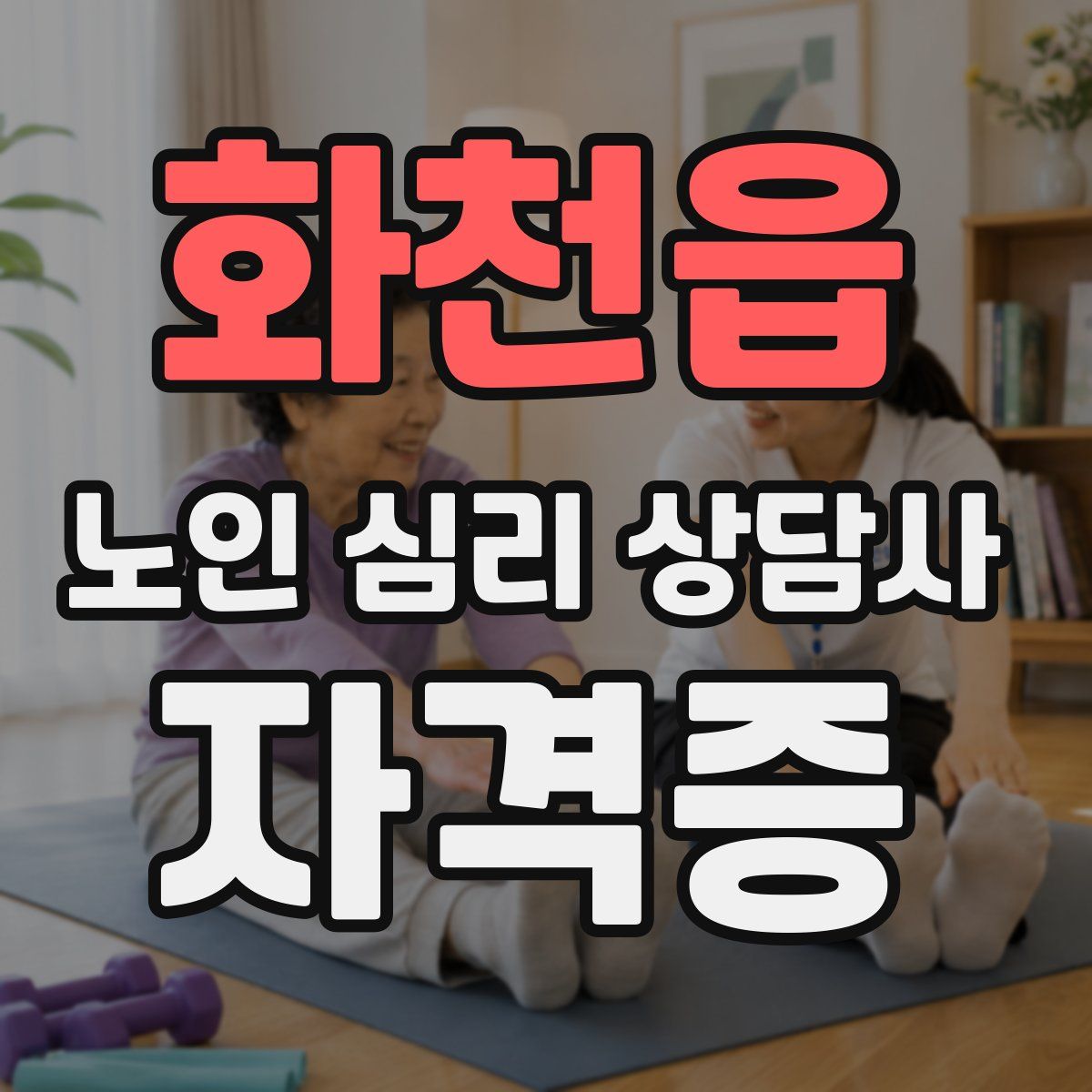 화천읍 노인 심리 상담사 자격증