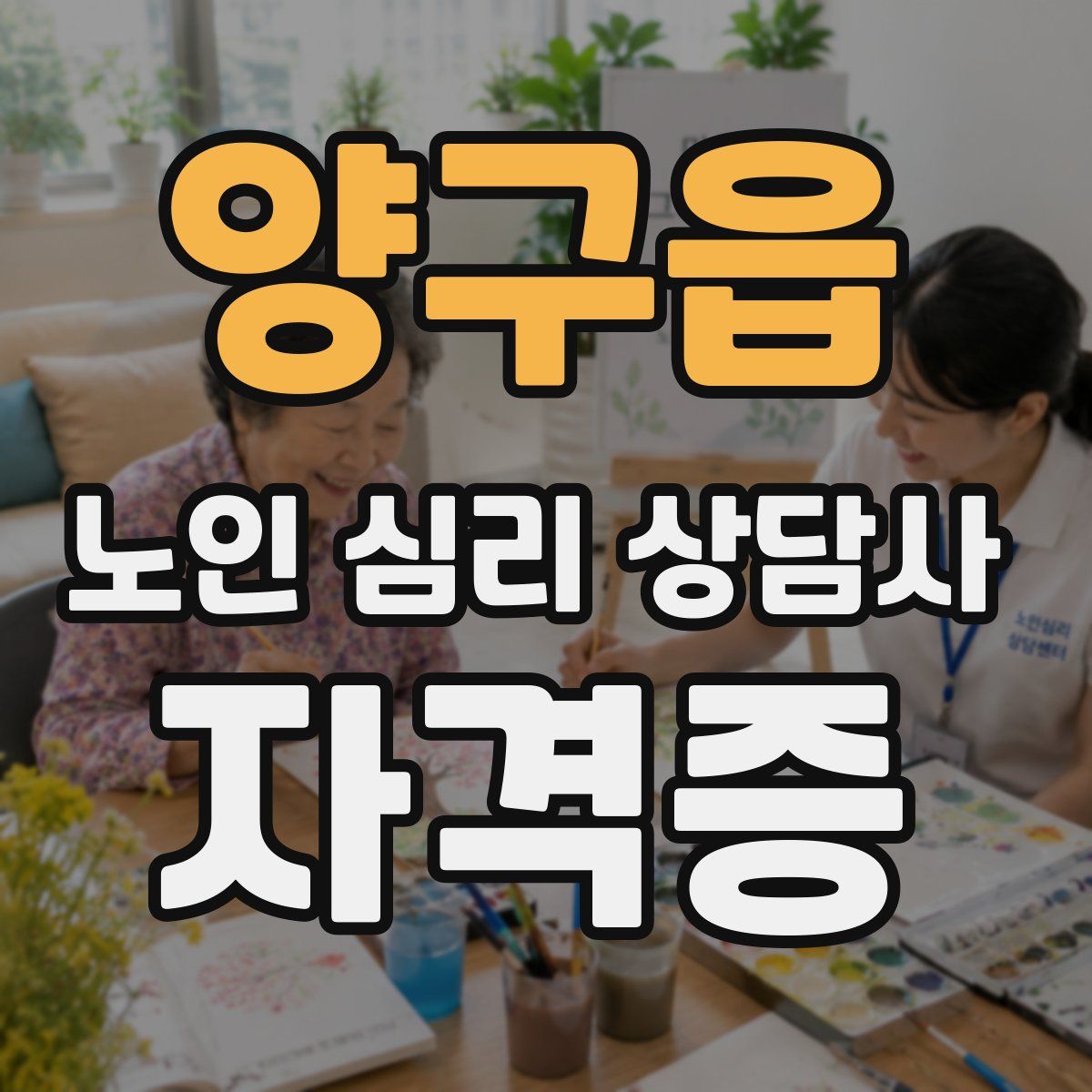 양구읍 노인 심리 상담사 자격증