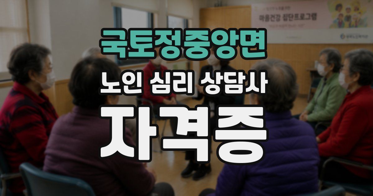 국토정중앙면 노인 심리 상담사 자격증