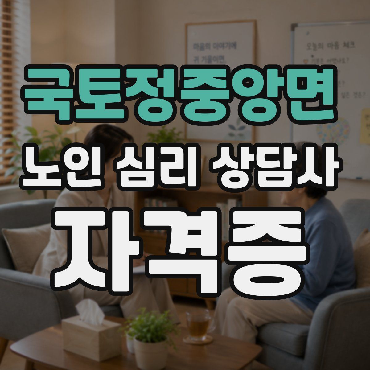 국토정중앙면 노인 심리 상담사 자격증
