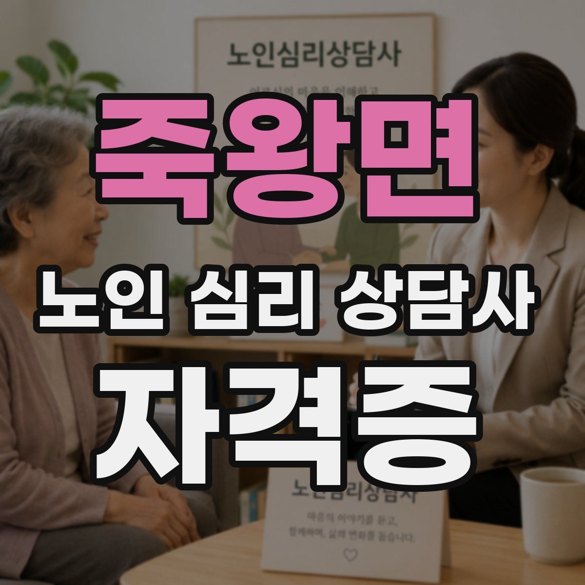 죽왕면 노인 심리 상담사 자격증