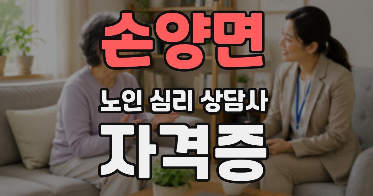 손양면 노인 심리 상담사 자격증