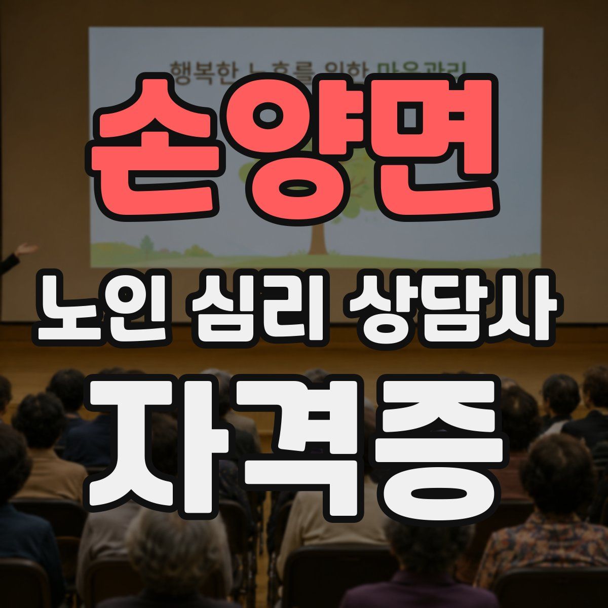 손양면 노인 심리 상담사 자격증