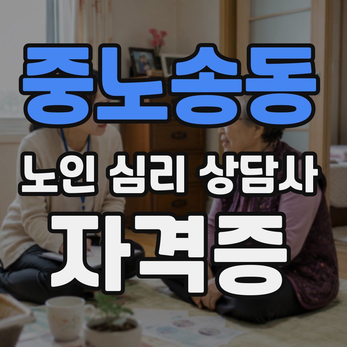 중노송동 노인 심리 상담사 자격증