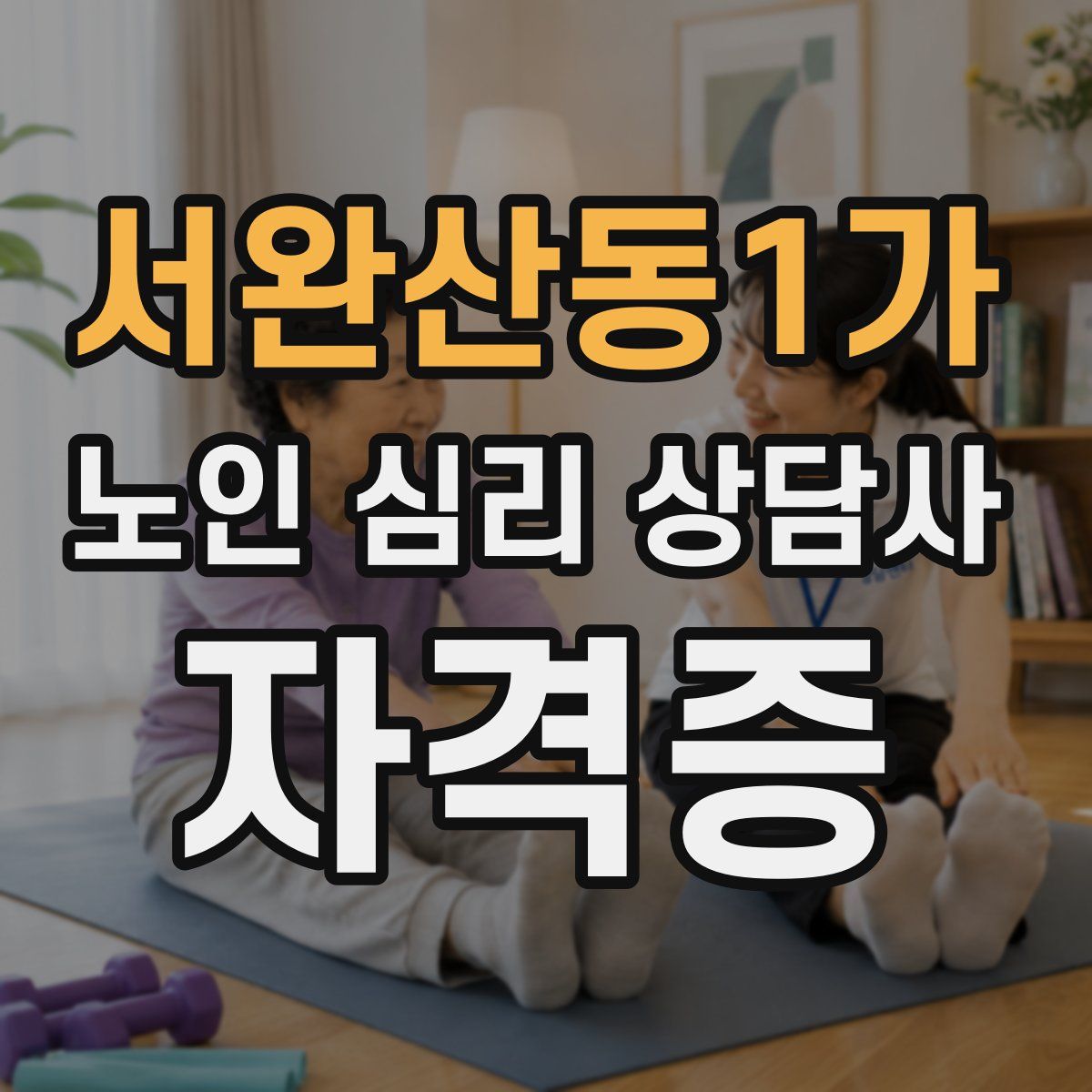 서완산동1가 노인 심리 상담사 자격증