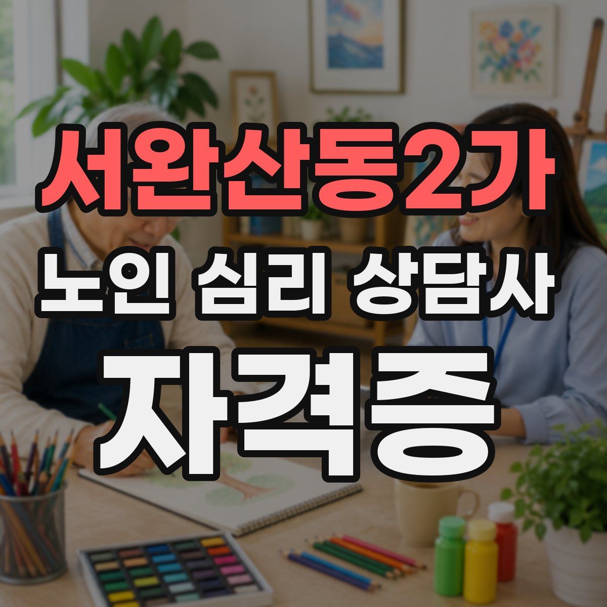 서완산동2가 노인 심리 상담사 자격증