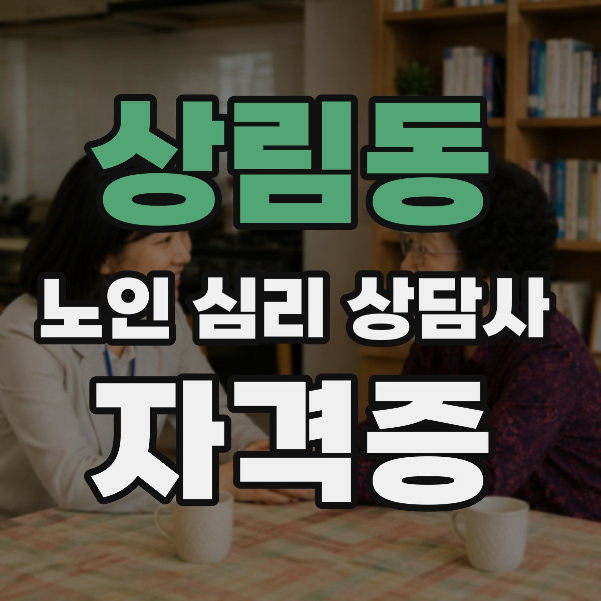 상림동 노인 심리 상담사 자격증