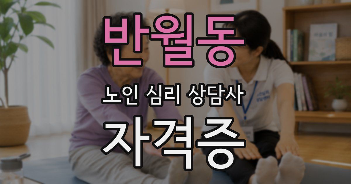 반월동 노인 심리 상담사 자격증