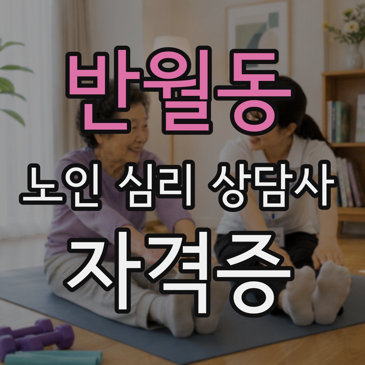 반월동 노인 심리 상담사 자격증