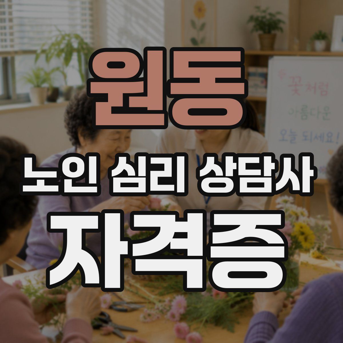 원동 노인 심리 상담사 자격증