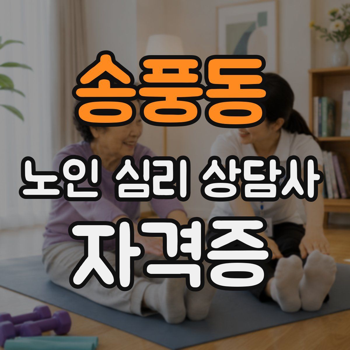 송풍동 노인 심리 상담사 자격증
