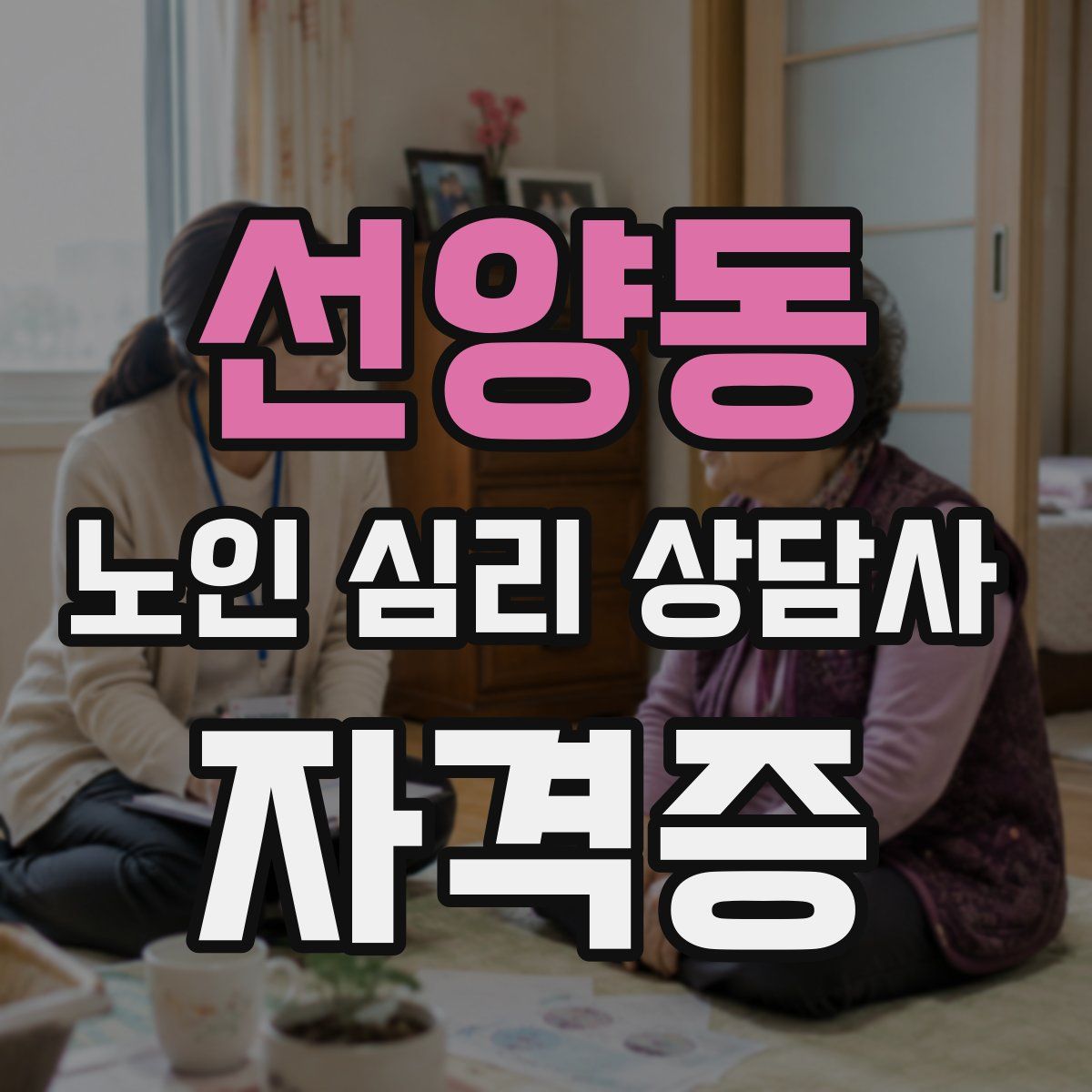 선양동 노인 심리 상담사 자격증