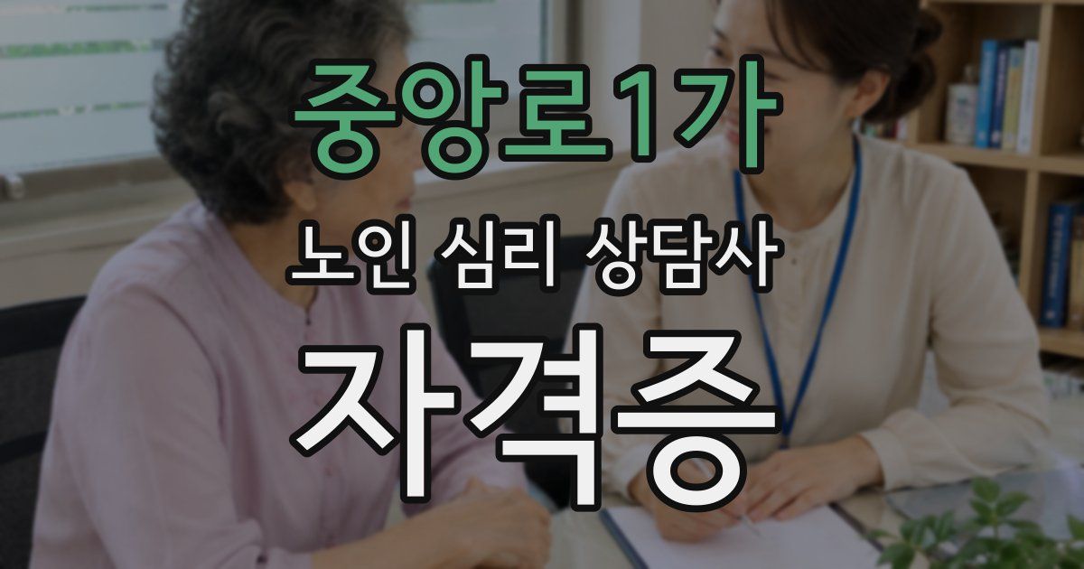 중앙로1가 노인 심리 상담사 자격증