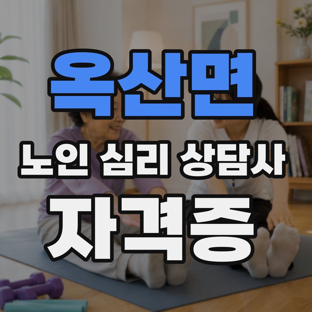 옥산면 노인 심리 상담사 자격증