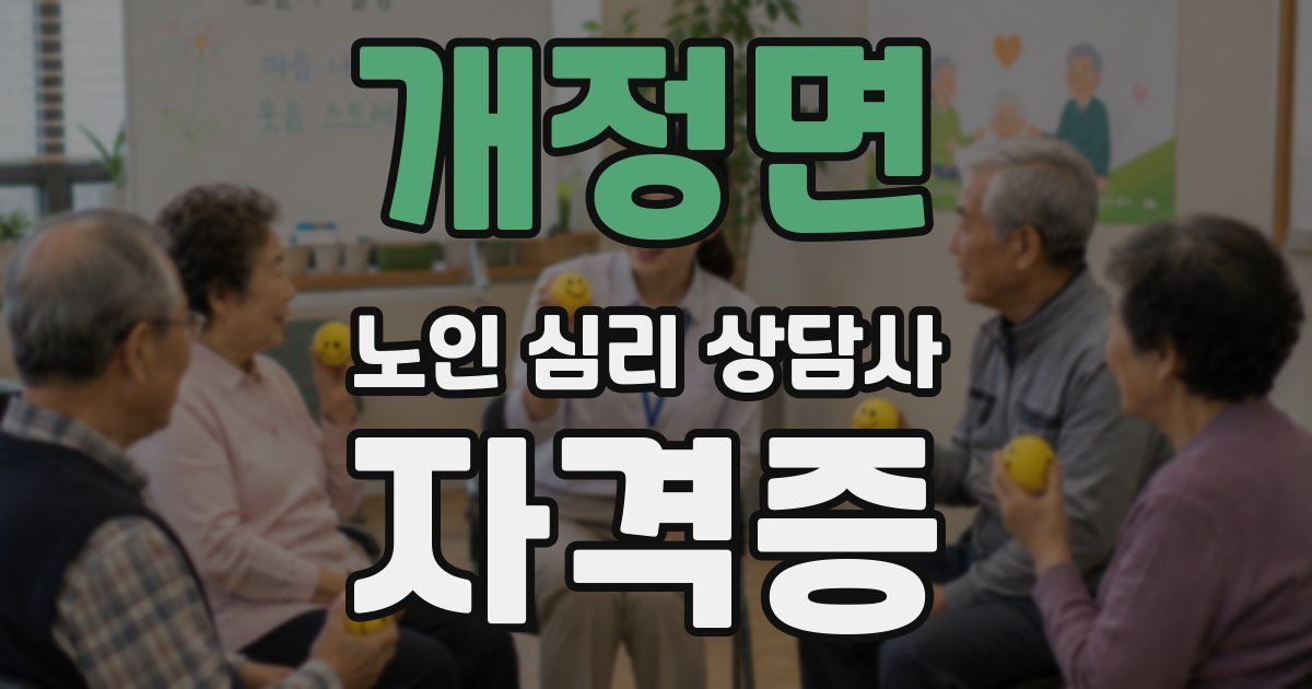 개정면 노인 심리 상담사 자격증